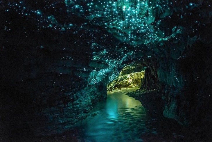 Waitomo Cave, Nueva Zelanda