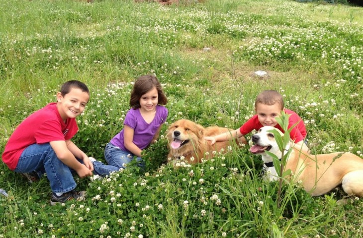 niños creciendo con perros socializab