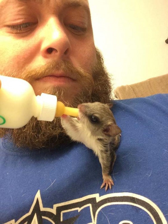 un hombre dando de comer a una pequeña ardilla 