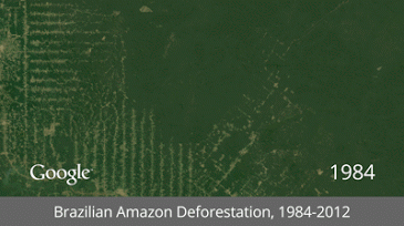 deforestacion del amazonas
