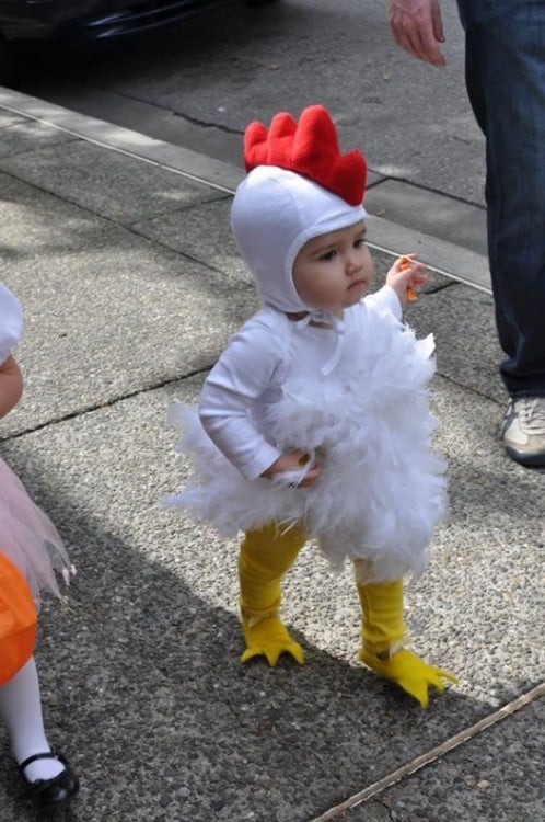 bebé disfrazado de gallina