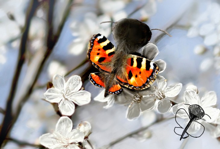 TELMO RECREA UNA MOSCA MARIPOSA