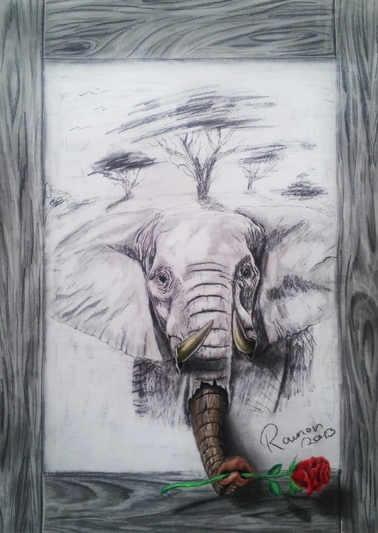 dibujo en 3D de un elefante sosteniendo una rosa en su trompa sobre una hoja de papel 