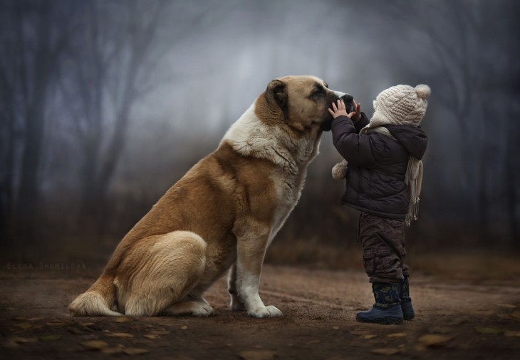 niño jugando con su perro