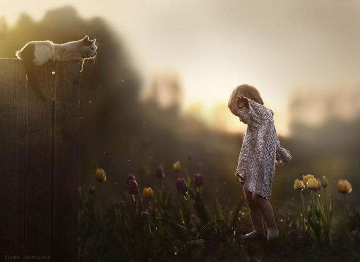 niño jugando con su gato