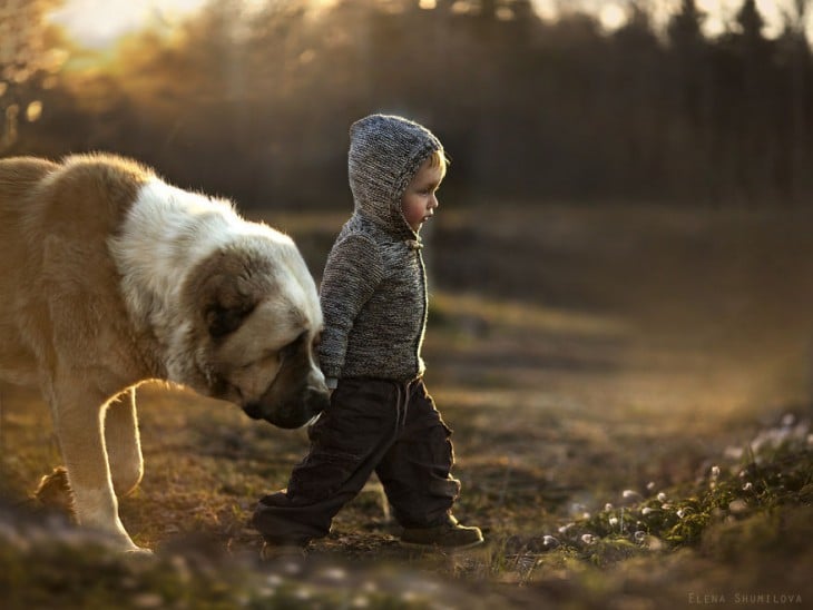 niño caminado con su perro