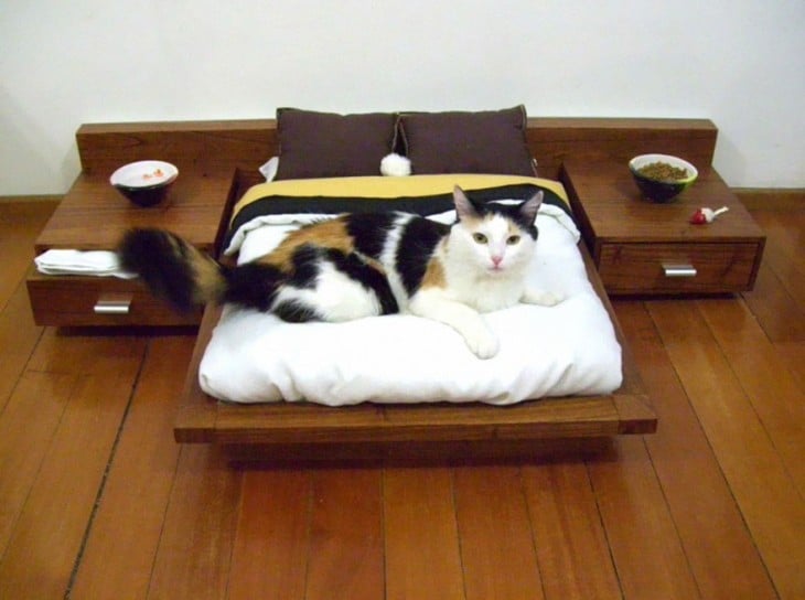 Casas y muebles diseñados para los amantes de los gatos