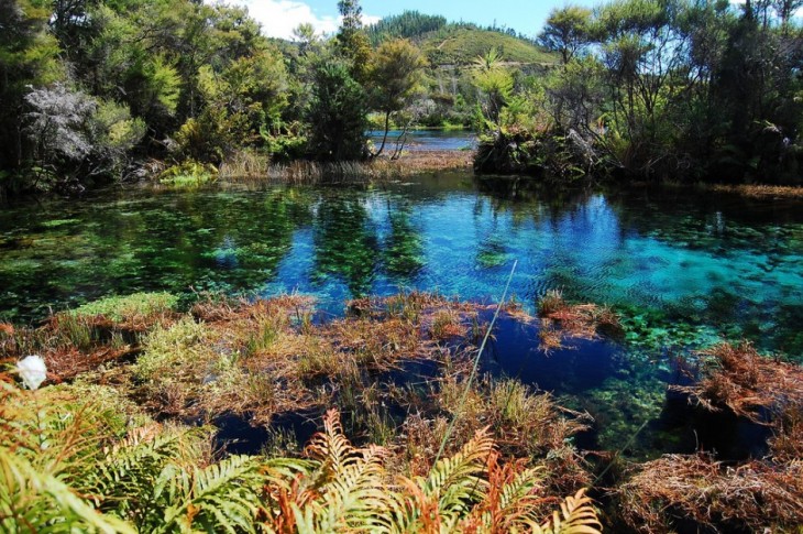 Pupu-Springs-Tasman-New-Zealand-940x625