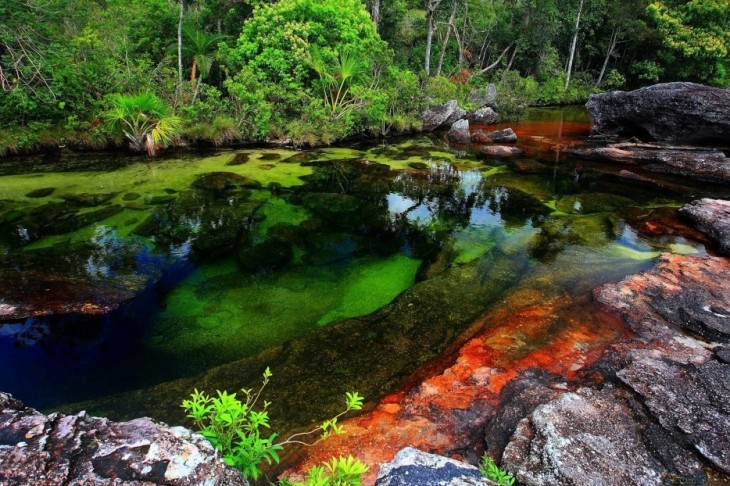 Rio caño cristales, colombia 2