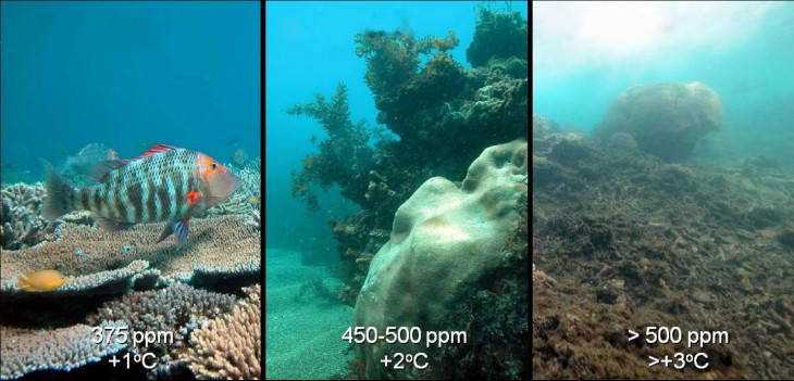 comparación a travez del tiempo de la acidificación de los oceanos