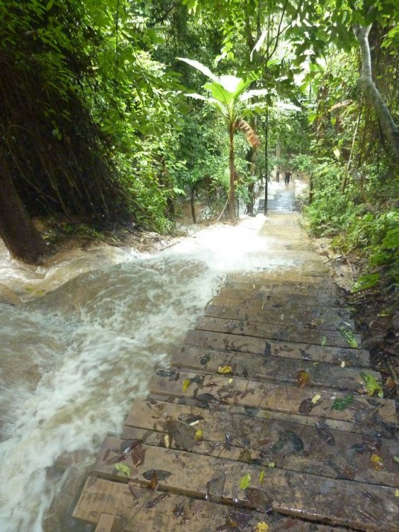 escalera con cascada