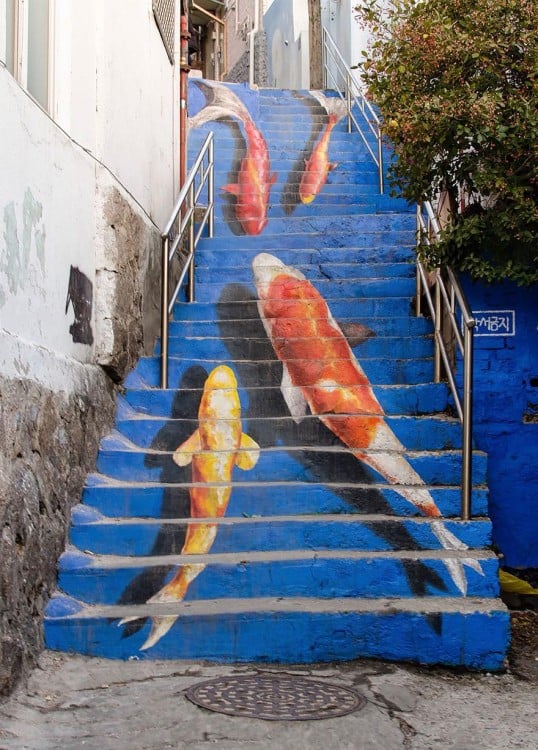 escaleras de peces gigantes