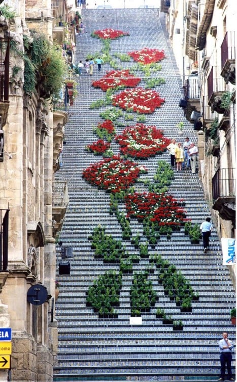 escaleras con rosas