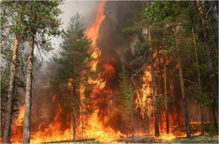 incendio forestal