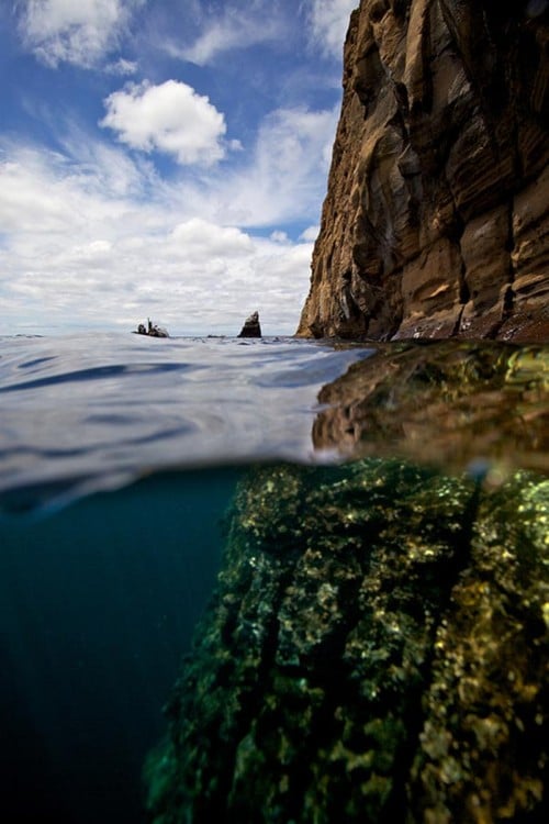 isla galapagos