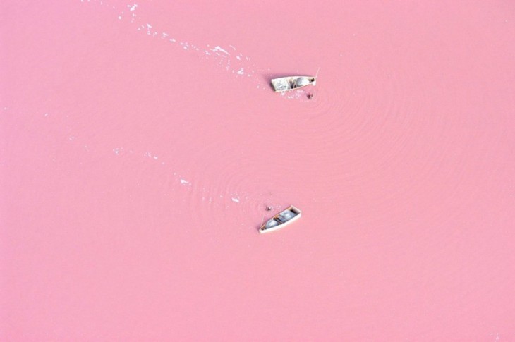 lago rosado de australia