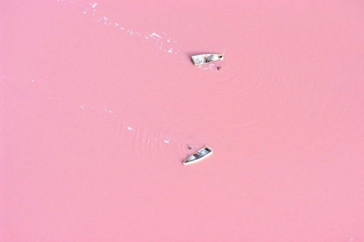 lago rosado de australia