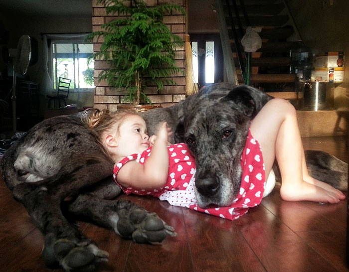 amor amor