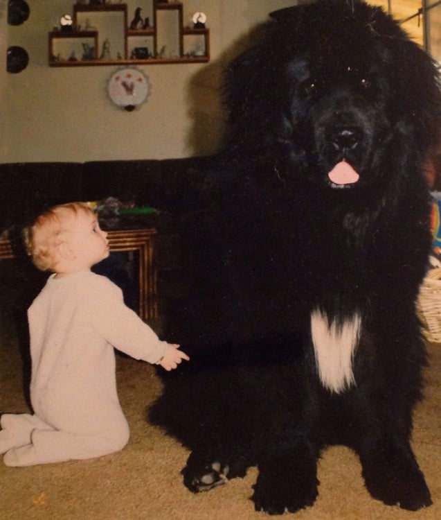 bebe jugando con perro negro