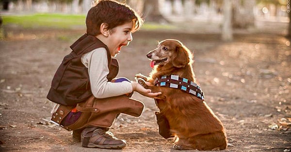Imagenes De Niños Jugando Al Gato Y Al Raton | 12 razones por las que los ni 241 os deben crecer con un perro Imagenes De Niños Jugando Al Gato Y Al Raton | 12 razones por las que los ni 241 os deben crecer con un perro