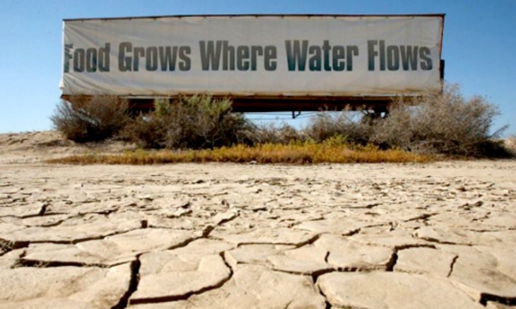 la comida crece donde el agua fluye, sequía en california