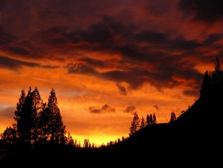 parque Yosemite