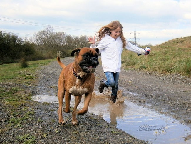 niña corriendo con perro