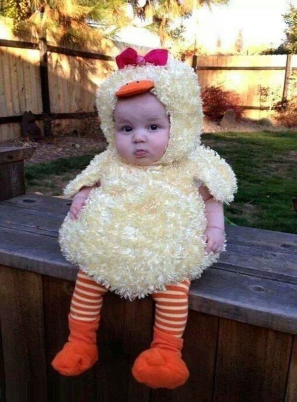 clase Interacción núcleo Fotos de tiernos bebes disfrazados de animales