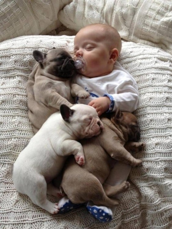 bebe dormido con perritos