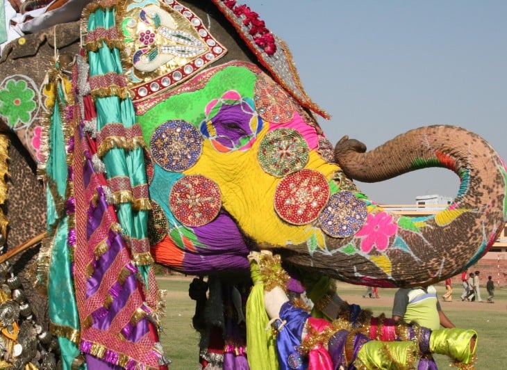 94627828.aVYq54Xd.ElephantFestivalJaipur2