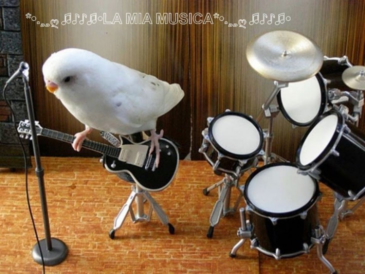 Pájaro tocando la guitarra junto a una bateria y frente a un micrófono 