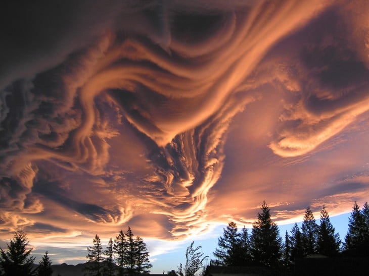 Mezcla de nubes en el cielo y la punta de unos pinos 