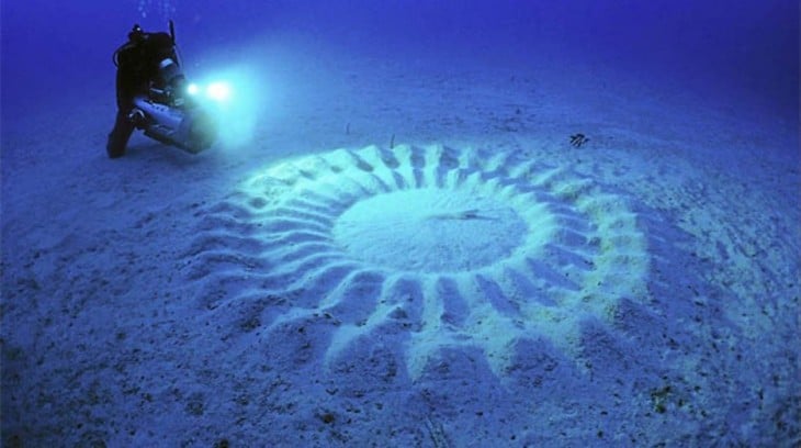 Un buzo debajo del mar cerca de unos círculos formados en la arena 