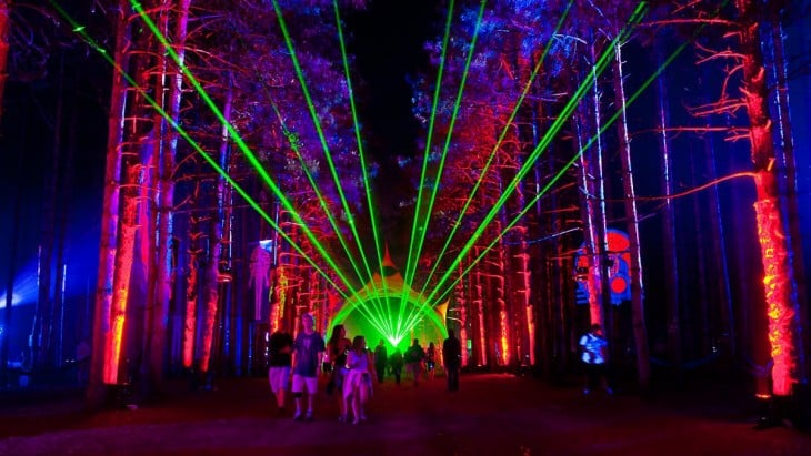 arboles iluminados durante el festival de Música Bosque Eléctrico, Rothbury, Michigan