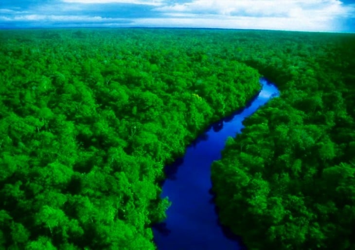 Fotografía del Río Amazonas en Perú 