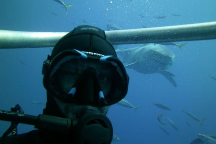 Selfie de un buzo con un tiburón blanco detrás 