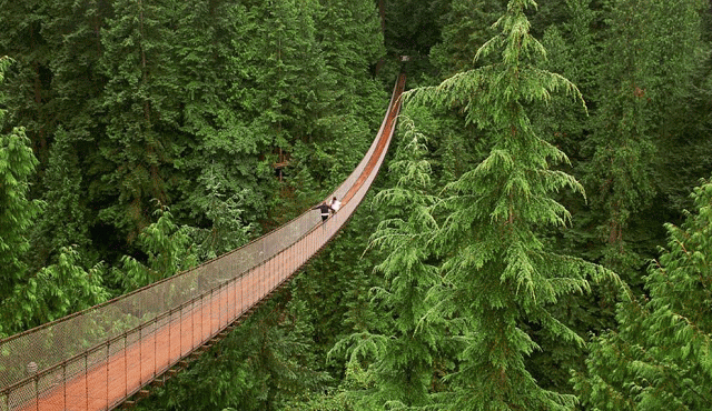 puente colgante