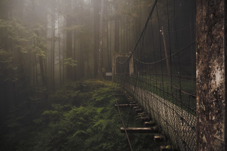 puente en el bosque, Taiwan