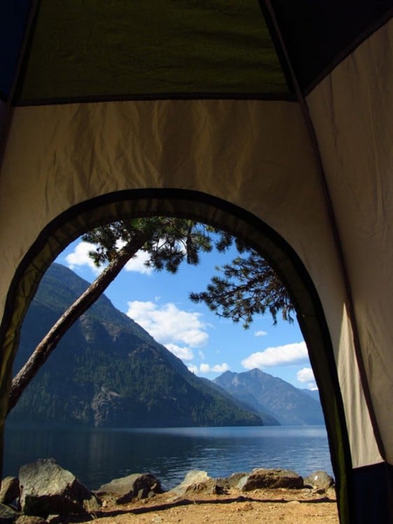 carpa en el lago ross