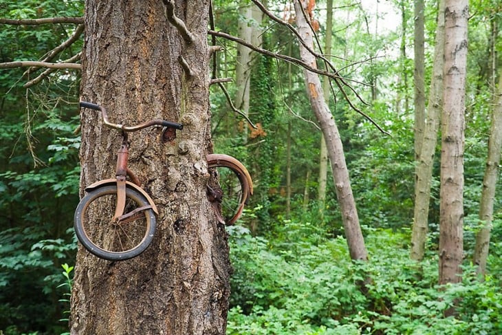 bicicltea incrustada en un arbol