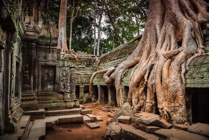 templo abandonado lleno de arboles