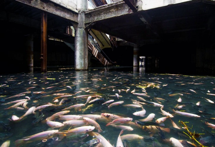 edifio destruido por la naturaleza lleno de agua