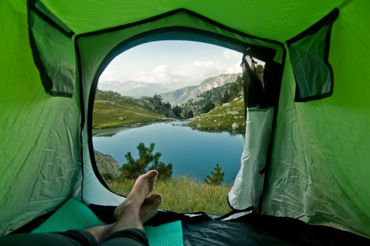 foto de carpa cerca de un lago