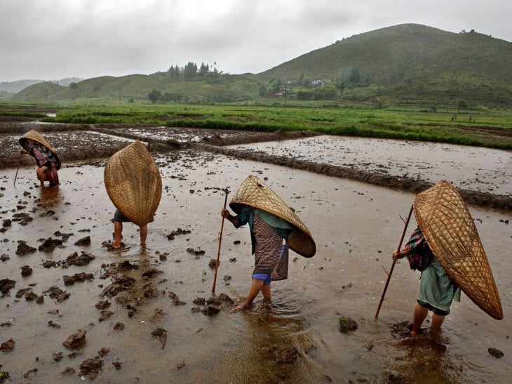 rain-mawsynram-india_63763_990x742