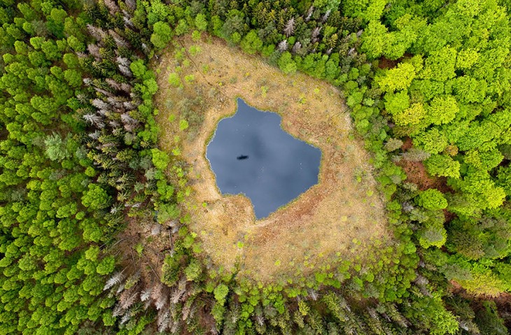 Forest Lake en Polonia