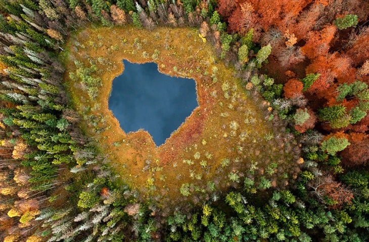 Forest Lake en Polonia