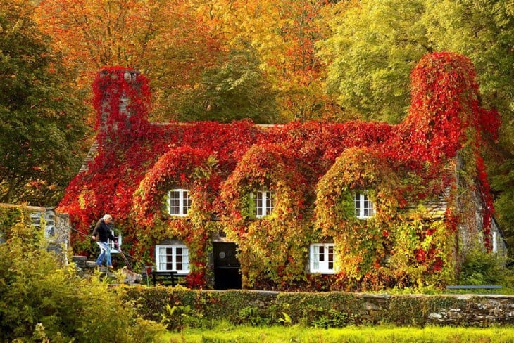 Salón de té Tu Hwnt I'r Bont en Llanrwst, Gales del Norte