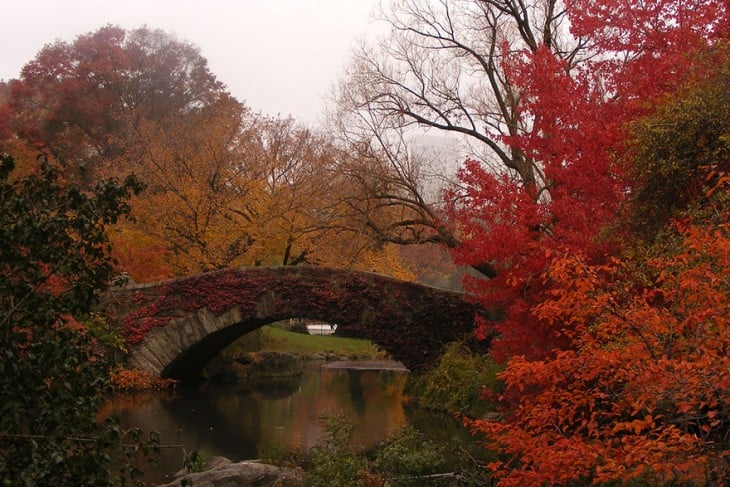 Antes Y Después De 12 Hermosas Transformaciones En Otoño (4)