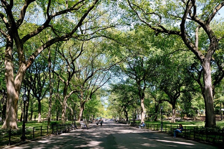 El paseo del poeta, Central Park, Nueva York, EE.UU.