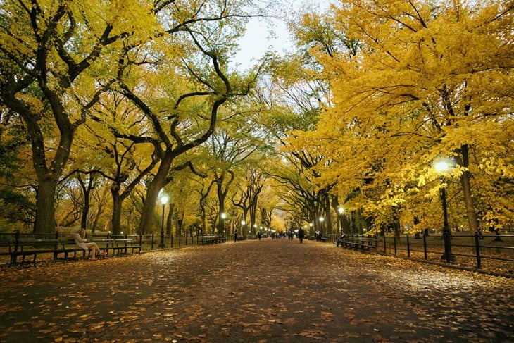 El paseo del poeta, Central Park, Nueva York, EE.UU.